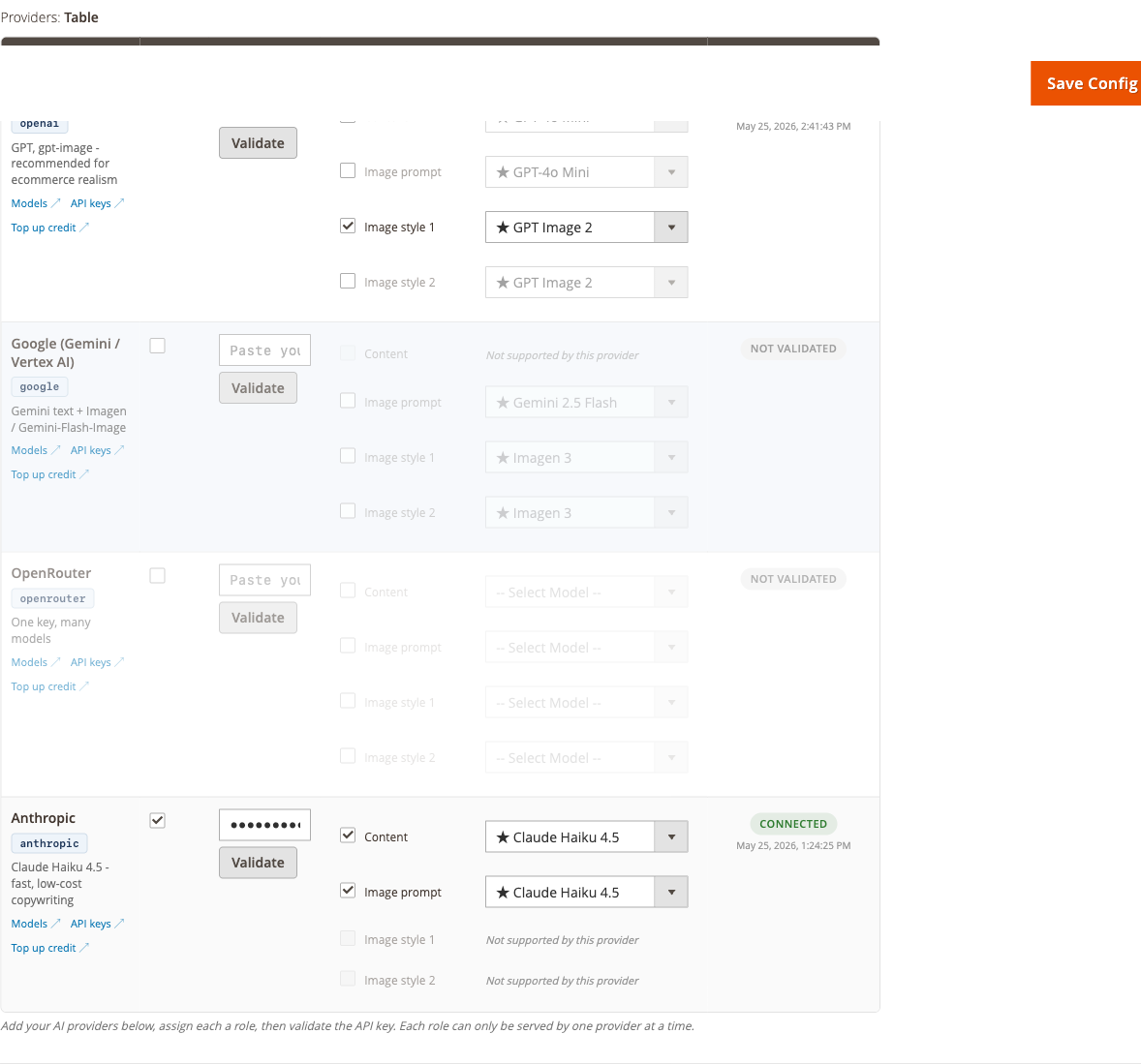 AI Providers config group showing the provider table with role dropdowns and API key fields