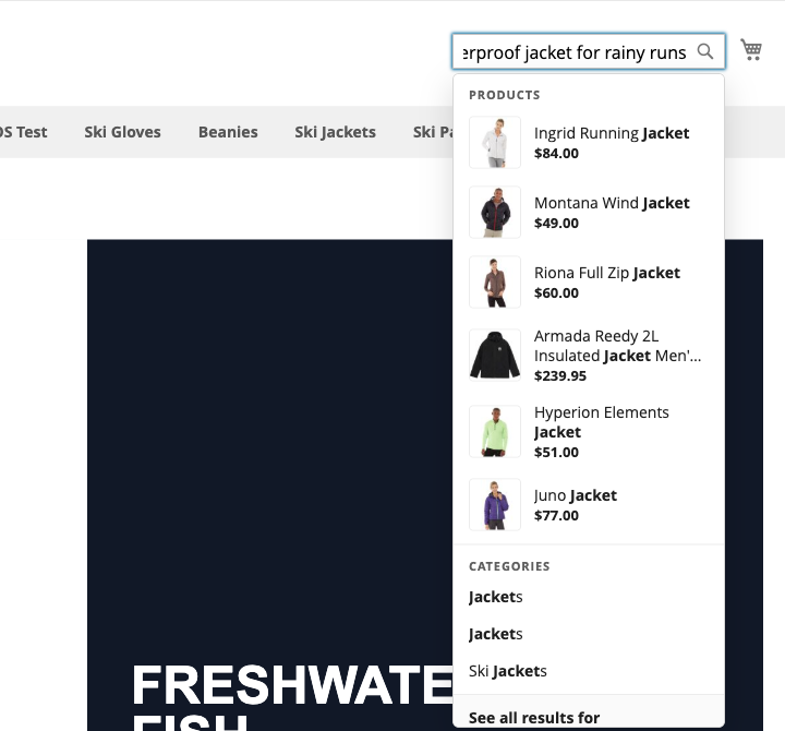 Grouped type-ahead dropdown showing matching products and categories for a descriptive query