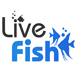Avatar for livefish