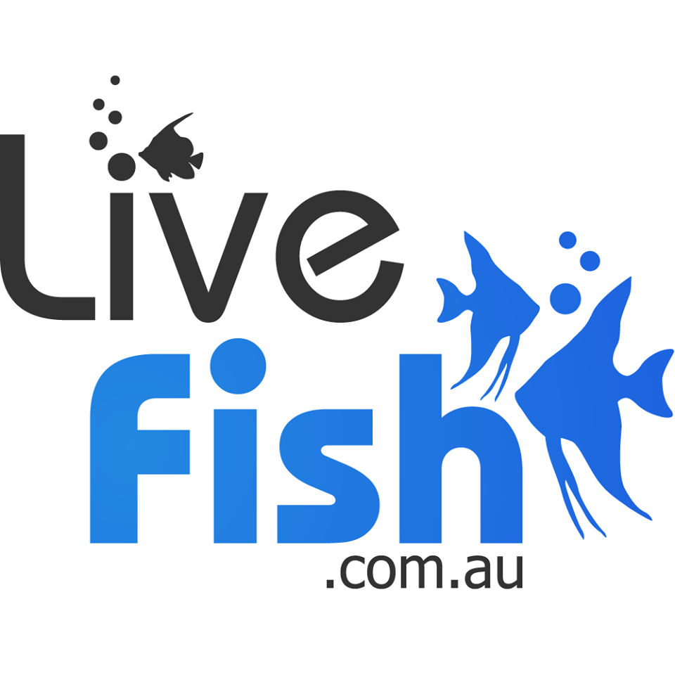 livefish